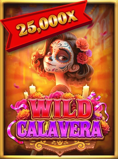 Dragon Tiger live casino card game cover